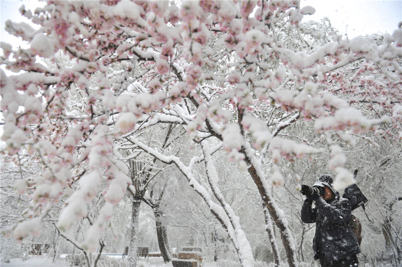 Xinjiang experiences extreme weather