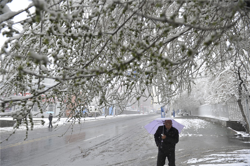 Xinjiang experiences extreme weather