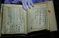 Files shed new light on Japan's atrocities