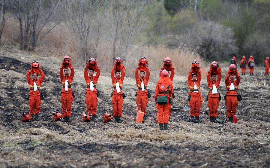 Forest team tackles fire drill in NE China