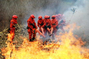 SW China forest fire extinguished