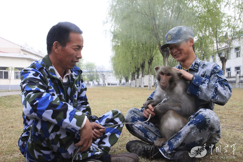 Chinese air force trains monkeys to remove bird’s nests