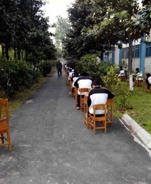 Exams held in woods to prevent cheating