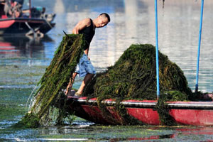 'Pungent smell' suspends city's water supply near Yangtze River