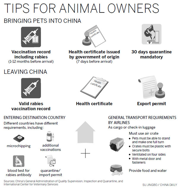 Expats must plan ahead when adopting pets