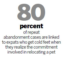Expats must plan ahead when adopting pets