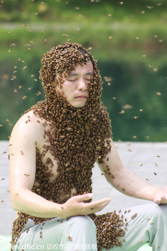 Jiangxi man abuzz over new Guinness bee record