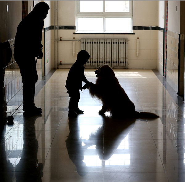 Therapy dogs ease plight of autistic children - C