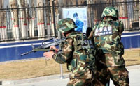 Xinjiang starts campaign against terrorist violence