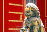 China's social security system taken shape