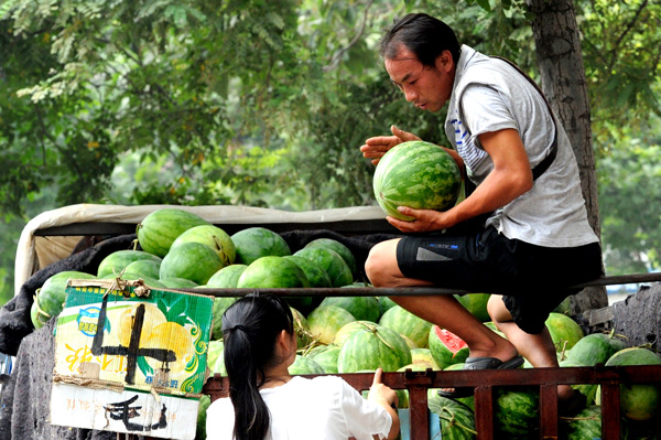 Netizens gobble up watermelon micro blog