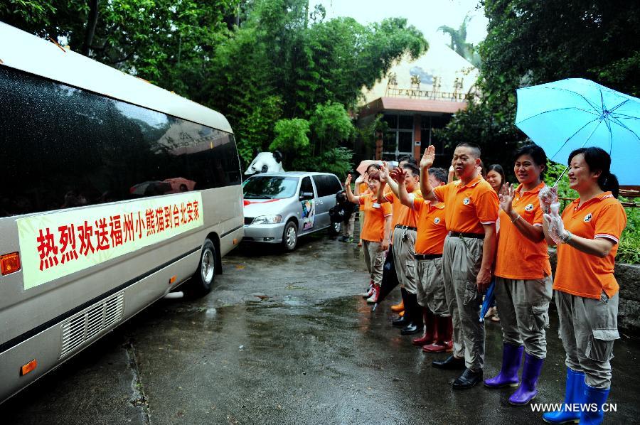 Red pandas from Fuzhou to become new residents in Taipei