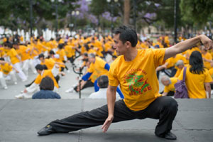 Kungfu flight attendants train for terror