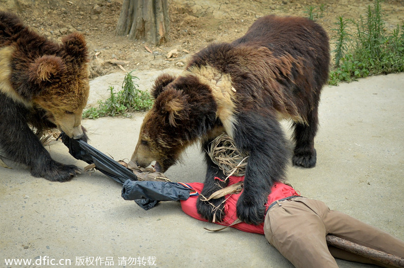 Zoo practices emergency rescue drills