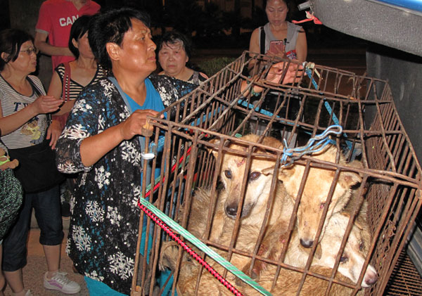 Activists: Dogs on way to Yulin fair likely stolen