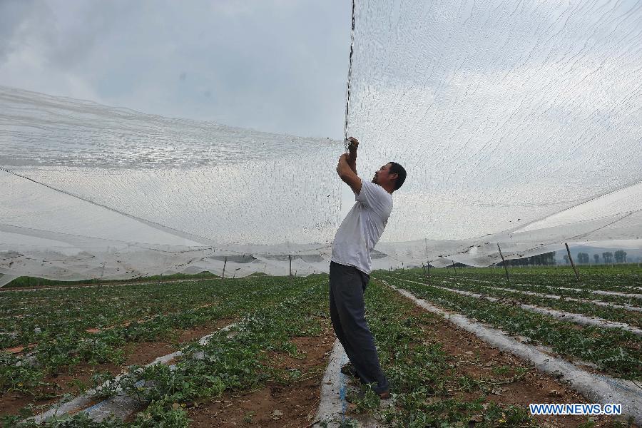 Winds, hails batter NE China, affecting 31,000 people