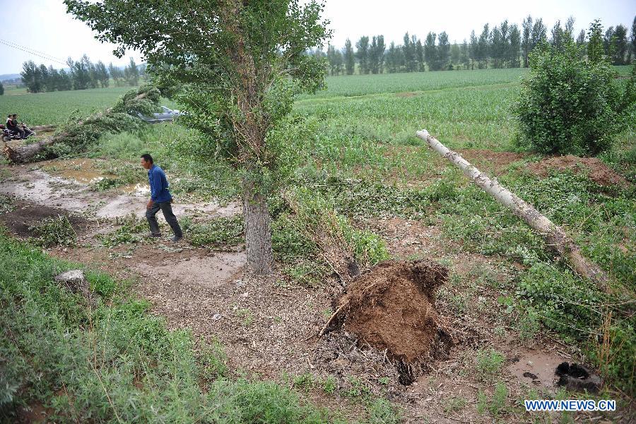 Winds, hails batter NE China, affecting 31,000 people