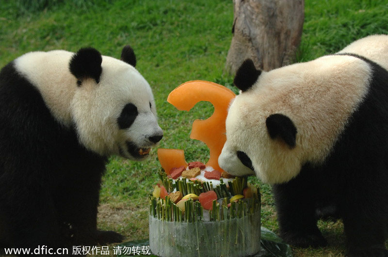 RIP <EM>Xinxin</EM>: Panda, 6, mourned in Macao