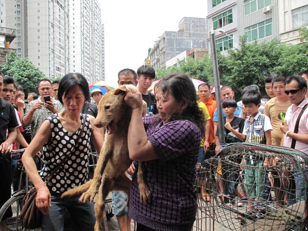 Woman makes life quest out of saving dogs from slaughter