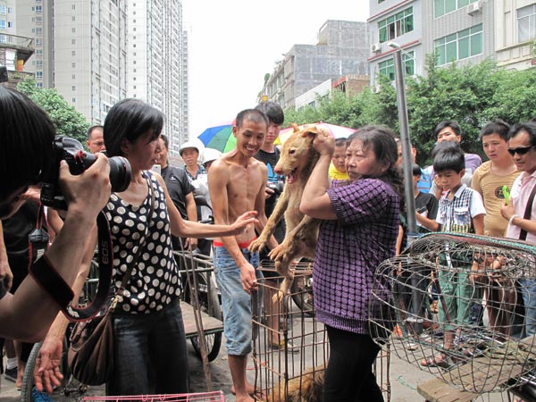 Woman makes life quest out of saving dogs from slaughter