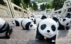 Giant panda baby born in SW China