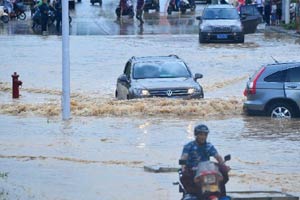 Shanghai to get more rain this week