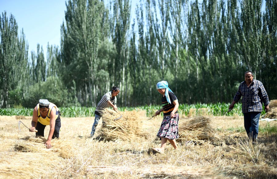 Love is reason she stays in Xinjiang teaching