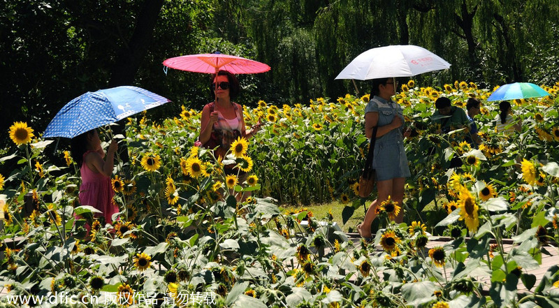 Heat wave hits Beijing