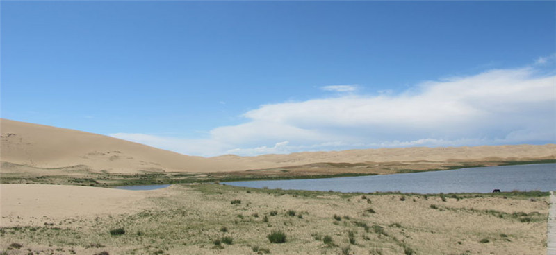 Qinghai's 'biological gene bank'