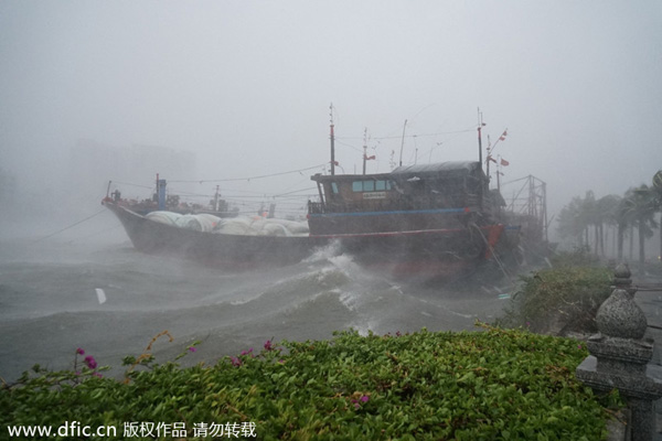 Eight killed in typhoon Rammasun in South China