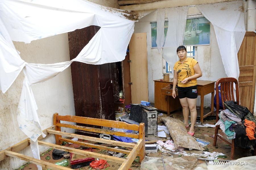 Typhoon Rammasun affects 2.8 m in Guangxi, Guangdong