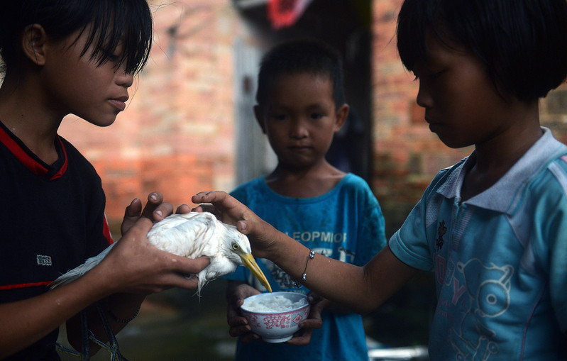 Villagers aid feathered friends