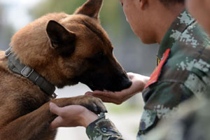 Remembering police dog <EM>Benben</EM>