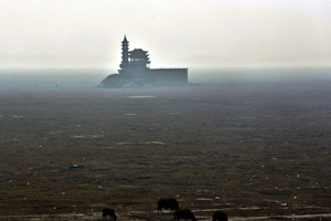 Henan suffers from drought since mid-May