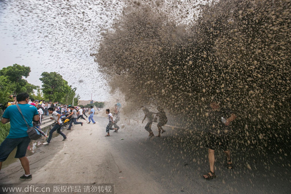 Tidal waves display brute force of nature