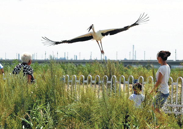 Rare bird forms unique bond with researcher