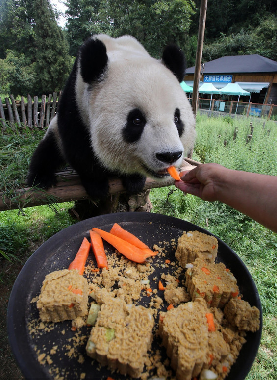 Animals enjoy Moon-cake treats