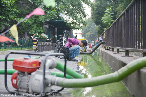 Algae plagues East China waterway