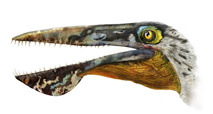 Ancient flying reptile named after 'Avatar' creature