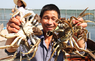Crab sellers feel pinch from drive to curb corruption