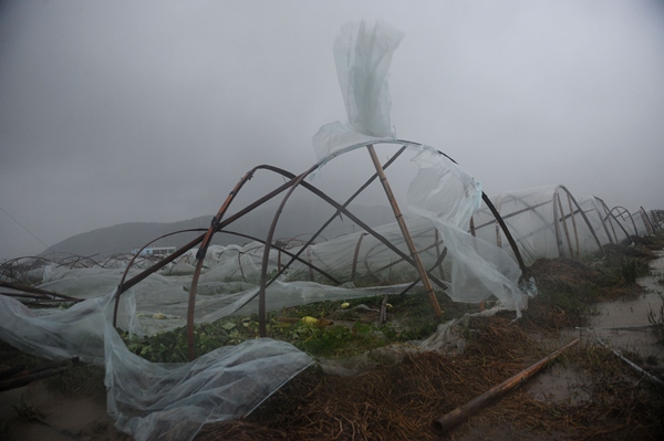 China issues yellow alert for typhoon Phanfone