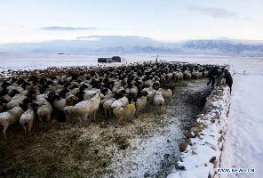 Wild paradise in Xinjiang