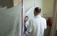 Guangxi reports 453 dengue cases