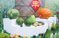 Chinese waste $33 bln food annually on dining tables