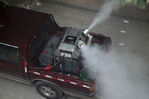 Guangdong sees 1,074 new dengue cases