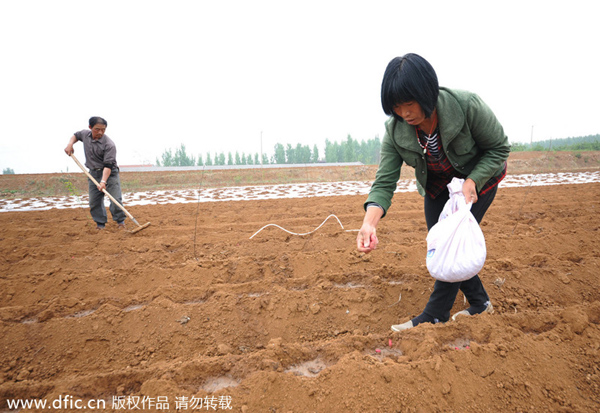 More than 40% of China's arable land degraded: report