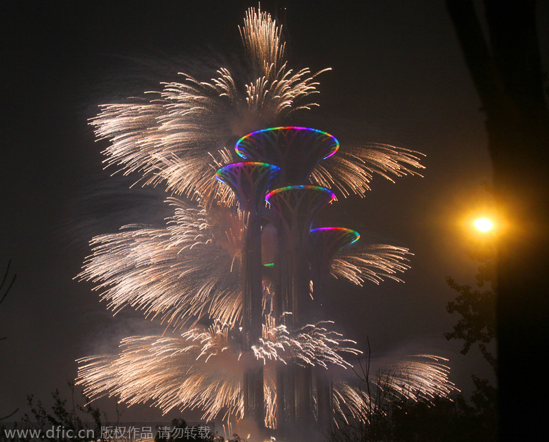 Magnificent fireworks showed at APEC grand banquet