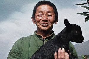 In photos: I am from Xinjiang