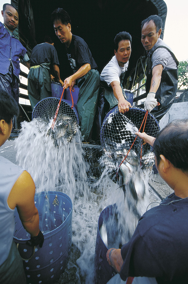 100 photographers' focus on Macao