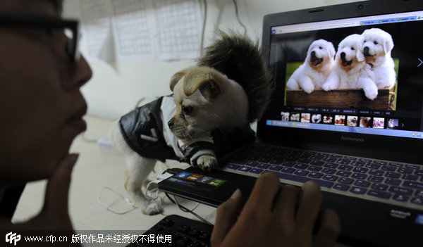 Chinese students turn to pets for company